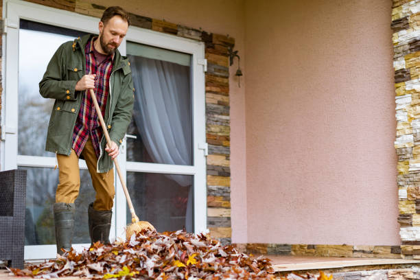 Best Basement Cleanout Services  in Hawthorne, NV